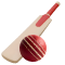 cricket icon