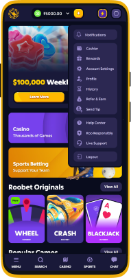 Screenshot of Roobet app account menu
